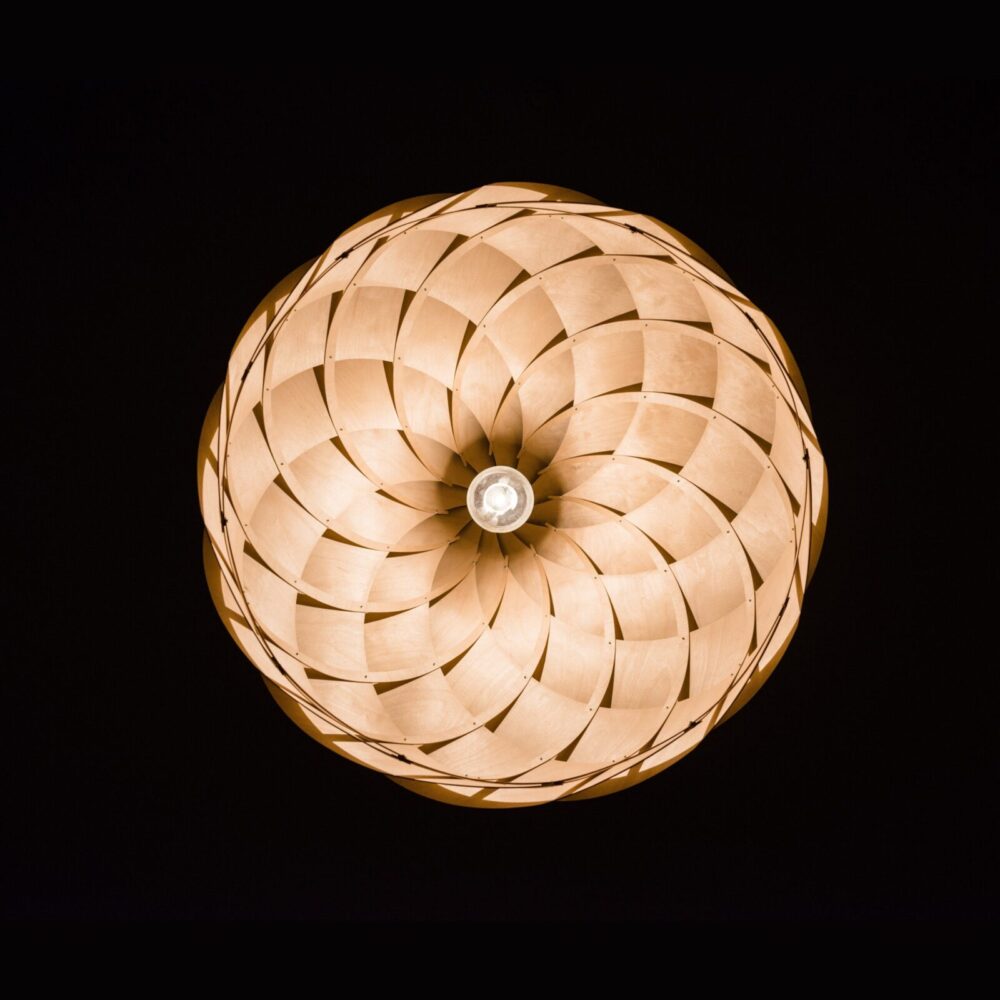 NAUTILUS on ZOME väike vend. Ta koosneb 12 kaardus elemendist, mis on kinnitatud skeletile neetide abil. Lamp heidab põrkevalgust, mis mängib valguse ja varjuga - Nautilus on tugeva iseloomuga ruumi ehe. Lamp sobib nii üldvalguseks kui kohtvalguseks laua kohale. NAUTILUS loob dünaamilise valguse voogamise ruumi.
